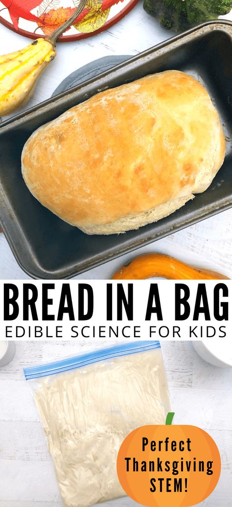 Cooking Recipes For Preschoolers, Easy Home Economics Recipes, Easy Recipes For Preschoolers To Make, Baking Club Ideas, Preschool Cooking Theme, Farm Science Activities Preschool, Bread Study Preschool, Easy Recipes For Kids To Make, Bread In A Bag Recipe