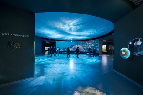 Gallery of Public and Cultural Buildings: A Tour of Copenhagen’s Architectural Masterpieces - 30 Ocean Aquarium, The Blue Planet, Museum Exhibition Design, Building Foundation, Blue Planet, Architecture Model Making, Komodo, Museum Exhibition, Exhibition Space