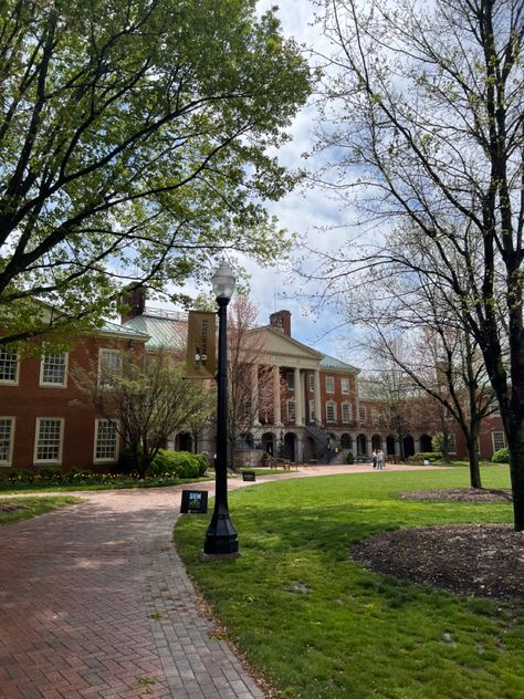 Wake Forest Aesthetic, Wake Forest University Aesthetic, Forest Outfits, Romanticizing Studying, Middleburg Virginia, College Goals, North Carolina Chapel Hill, America Photo, University Housing