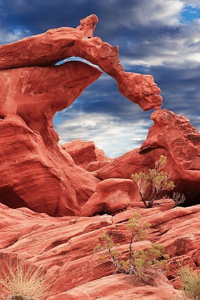 Africa Nature, Valley Of Fire State Park, Valley Of Fire, In The Desert, A Rock, The Desert, Amazing Nature, Nature Pictures, Natural Wonders