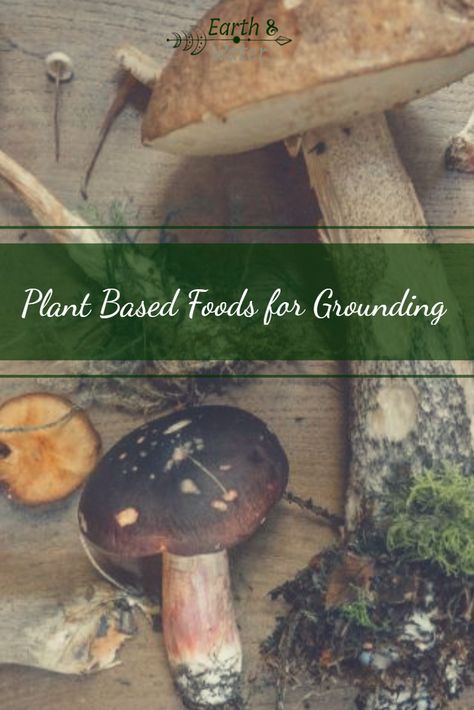 Grounding Foods, Yogi Food, Grounding Yourself, Light Headed, Plant Based Foods, Ground Recipes, What Is Spirituality, Staying Grounded, Healthy Healing