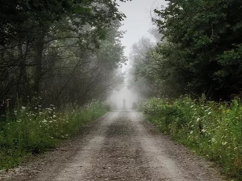 This Mysterious Street In Michigan Is Said To Be Haunted By A Witch Midwestern Gothic, Haunted History, Family Beach Trip, Most Haunted, Haunted Places, A Witch, Travel Memories, Scary Movies, Wine Country