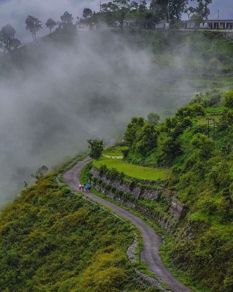 Almora Uttarakhand, Travelling World, Uttarakhand Tourism, Places To Visit In India, Travel Destinations In India, Tree Mountain, India Travel Places, Travel Mountains, Scenic Photography