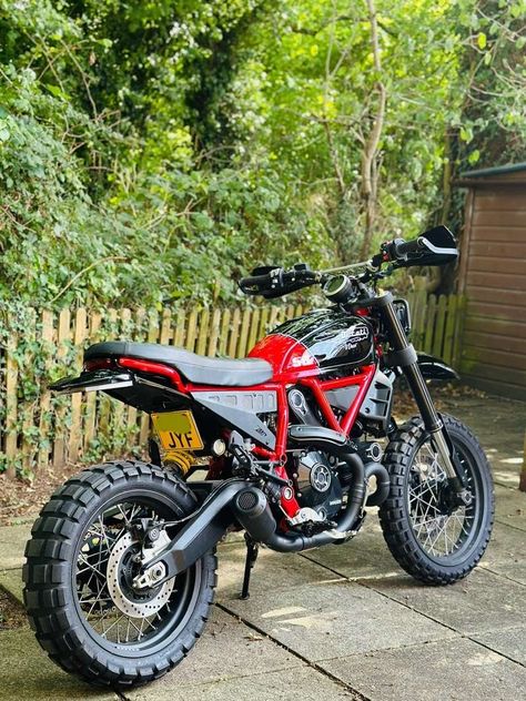 Desert Shred: Custom Ducati Desert Sled – BikeBound Ducati Desert Sled, Ducati Scrambler Custom, Custom Ducati, New Ducati, Desert Sled, Scrambler Custom, Bus System, Street Bike, Ducati Scrambler