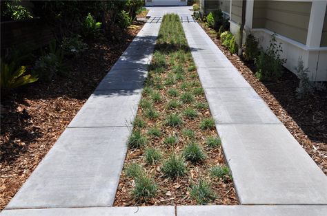 Driveway Path, Grass Strip Driveway, Driveway With Grass In Between, Mondo Grass Driveway, Concrete And Grass Driveway, Driveway Grass Pavers, Driveable Grass Driveway, Grass Driveway, Permeable Driveway