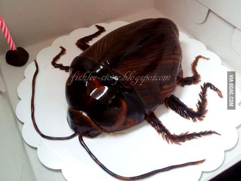 The Most Disgusting Birthday Cake EVER! Cockroach Cake, Gross Cakes, Best Friend Birthday Cake, Creepy Cakes, Bad Cakes, Friends Birthday Cake, Bug Cake, Cake Wrecks, Bug Party