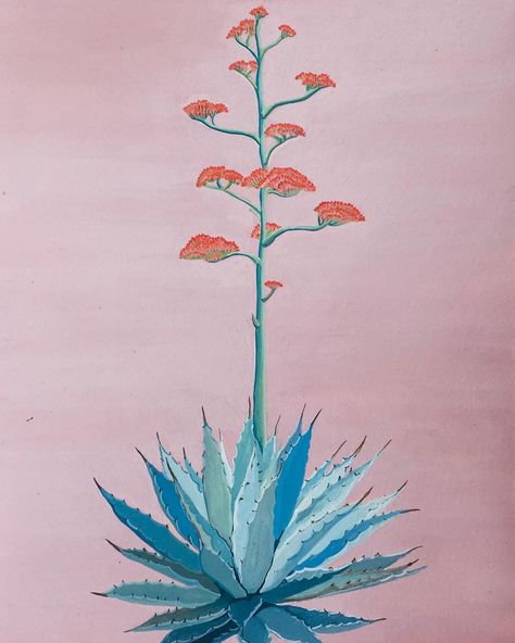 One of my favorite little #gouache paintings I've done: a flowering #agave hovering over a soft #lavender background. #painting #santafe #southwest #desert #desertlife by paulcbaxendale March 18 2016 at 10:31AM Agave Tattoo, Agave Field, Painted Cactus, Lavender Background, Background Painting, Cactus Painting, Plant Tattoo, Desert Life, Agave Plant