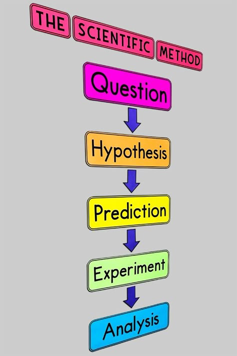 Grade 7 Bulletin Board Ideas, Science Cba 1 Ideas, Scientific Method Bulletin Board, Science Board Ideas, The Scientific Method, Science Chart Ideas, Science Charts For Classroom, Science Bulletin Board Ideas, Science Posters