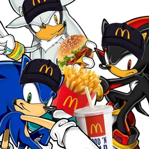 Shadow Y Sonic, Silver The Hedgehog, Sonic Funny, Sonic 3, Sonic Franchise, Blue Hedgehog, Hedgehog Art, Sonic And Shadow, Sonic Boom