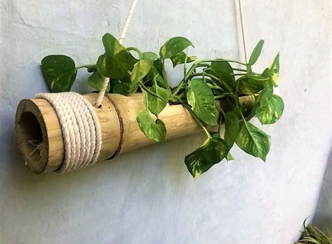 •Material Wood Bamboo Diy, Creative Planter, Bamboo Planter, Bamboo Decor, Bamboo Art, Handmade Planter, Hanging Flower Pots, Bamboo Garden, Bamboo Crafts