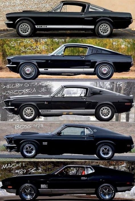 Mustang 1969, 60s Muscle Cars, Muscle Cars Mustang, Car Facts, Old Muscle Cars, Dodge Muscle Cars, Vintage Muscle Cars, Chevy Muscle Cars, Custom Muscle Cars