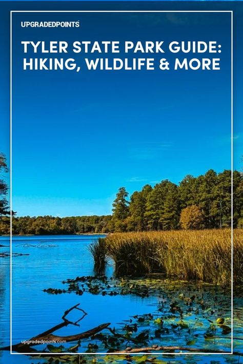 A peaceful lake surrounded by dense trees and tall marsh grasses at Tyler State Park, with clear blue skies reflecting on the calm water. Camping Texas, Bucket List Texas, Road Trip Texas, Texas Camping, Hiking In Texas, Camping In Texas, Texas State Parks, State Park Camping, Tyler Texas