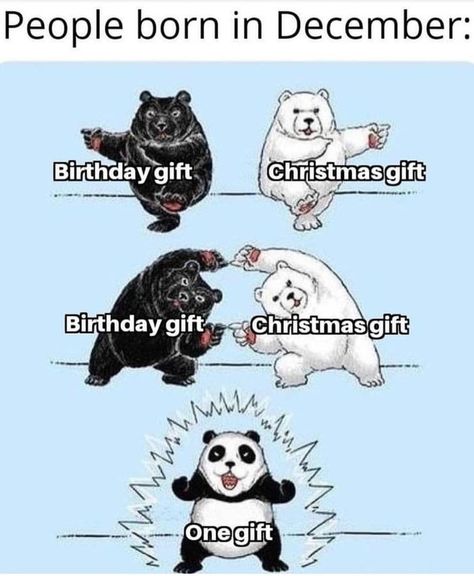 I wish all my friends had been born in December Mom Birthday Funny, Funny Christmas Presents, Christmas Memes Funny, Funny Birthday Meme, Christmas Memes, Birthday Meme, Fresh Memes, Edgy Memes, Memes Funny