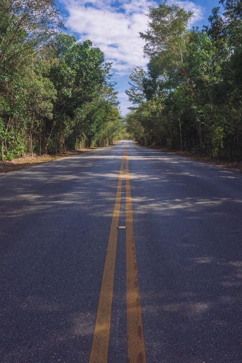 Road Town, Quality Street, Photo Tree, Street Photo, Car Photos, In The Forest, Premium Photo, Free Photos, The Forest