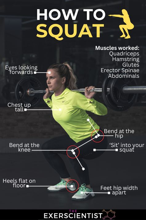 Woman squatting with a barbell on her back. She is bent at the tip, and knee in a good squat position. How To Squat Properly With Bar, Squats With Weights Bar, Barbell Squats Women, How To Squat, Squat With Barbell, Squat Videos, Barbell Back Squat, Squat Properly, Squats Muscles Worked