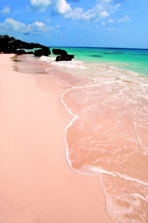 Pink Sand Beaches, Bermuda Pink Sand Beach Bermuda, Pink Sand Beach, Caribbean Vacations, Caribbean Beaches, Pink Sand, Palau, Vanuatu, Cebu, Ho Chi Minh City