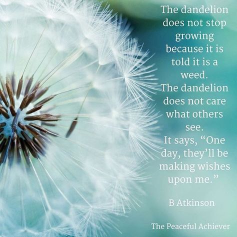 Untitled Dandelion Quotes, Dandelion Wishes, The Dandelion, Garden Quotes, Wish Quotes, Free Spirited, Make A Wish, Dandy, Beautiful Quotes