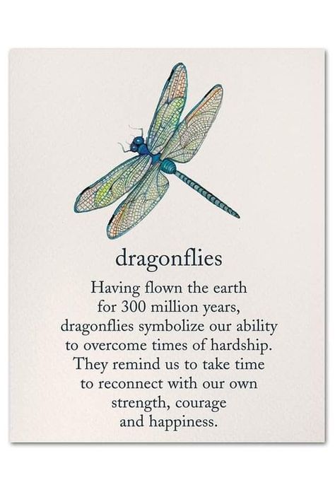 Yoga Poetry, Symbol Meanings, Dragonfly Meaning, Daily Magic, Dragonfly Artwork, Dragonfly Images, Dragonfly Tattoo Design, Watercolor Dragonfly, Balanced Mind