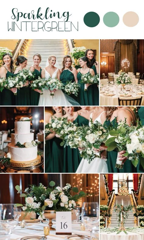 Green Winter Wedding, November Wedding Colors, Emerald Wedding Colors, Dark Green Wedding, Green Themed Wedding, Emerald Green Weddings, Green Wedding Colors, Winter Wedding Colors, November Wedding