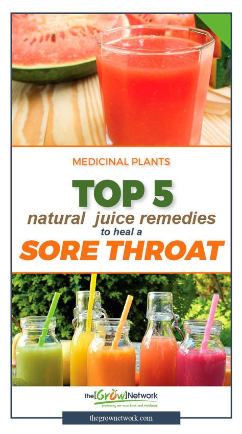 There are several medicinal drinks that you can use to keep yourself hydrated, while medicating your sore throat at the same time. Check out the Top 5 natural juice remedies to heal a sore throat | Gardening, Urban gardening, Sustainable living, Permaculture, Homesteading, Compost, Natural health, Survival, Off-grid, Prepping #growyourowngroceries #homegrownfoodoneverytable Juice Remedies, Medicinal Drinks, Natural Juice, Homegrown Food, Urban Homesteading, Natural Juices, Hydroponic Gardening, Urban Gardening, Sore Throat