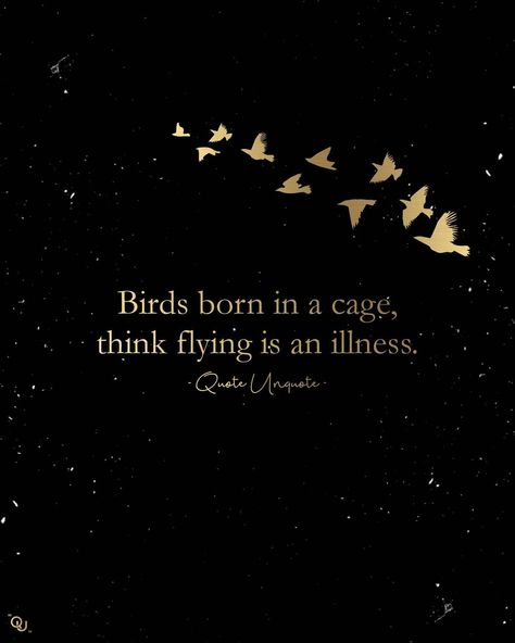 #metaphor #birds #philosophical #philosophy #philosopher #psychology #sociology #deep #intellectual #mindblown #cage #slave #reality #quoteunquote #sad #fly #poetrycommunity #poets #think #thinkaboutit #digitalartwork #thinkers Deep Thinker Quotes Perspective, Metaphors Quotes, Philosophy Quotes Deep Thoughts, Deep Metaphors, English Metaphors, Akshat Jain, Philosophy Quotes Deep, Thought Wallpaper, Billionaire Sayings