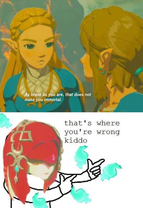 Legend Of Zelda Characters, Botw Zelda, Legend Of Zelda Memes, Zelda Funny, Hyrule Warriors, Video Game Memes, Link Zelda, Zelda Art, Legend Of Zelda Breath