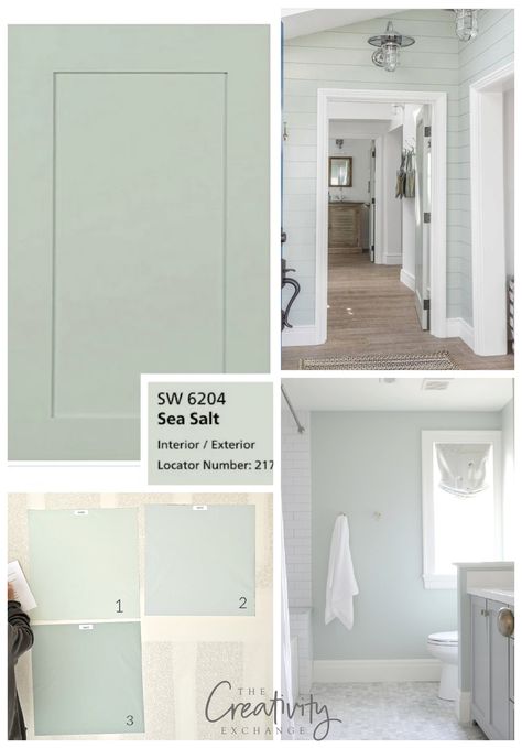 Sherwin Williams Sea Salt is... - The Creativity Exchange Sea Salt Paint Colors Sherwin Williams, Paint Bathroom Walls Ideas, Sw Sea Salt Bathroom Cabinets, Sea Salt Sherwin Williams Basement, Sea Salt Wall Color, Sherwin Williams Sea Foam, Sea Mist Paint Color, Paint Pallets For Home Color Schemes Sherwin Williams, Sherwin Williams Sea Salt Cabinets