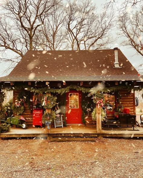 Julie Denby (@julesdenby) • Instagram photos and videos Christmas In Connecticut, Farm Cafe, Charlie Brown Tree, Farm Books, Farm Gifts, Cabin Christmas, Dairy Farms, Small Christmas Trees, Hallmark Christmas