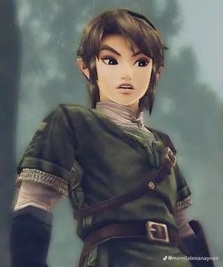 Zelda Screenshots, Hyrule Warriors, Twilight Princess, Legend Of Zelda, Art Blog, My Art, Zelda, Art