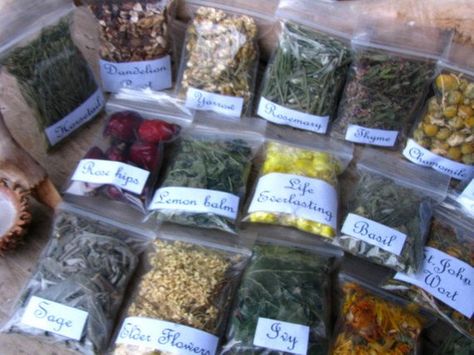 25 Wiccan apothecary herbs bags, Witch magic herbs, Wicca Starter kit, Pagan Spiritual Supplies, Wit Apothecary Herbs, Mint Garden, Herb Jar, Pagan Spirituality, Witch Herbs, Magic Herbs, Magical Herbs, Dandelion Root, Dried Herbs