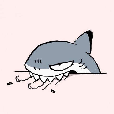 Cute Shark Art, Shark Kitty, Jaws Bruce, Sand Shark, Drawing Pfp, Shark Stuff, Shark Cat, Land Shark, Cat Shark