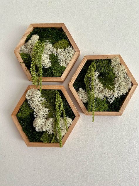 Hexagon design