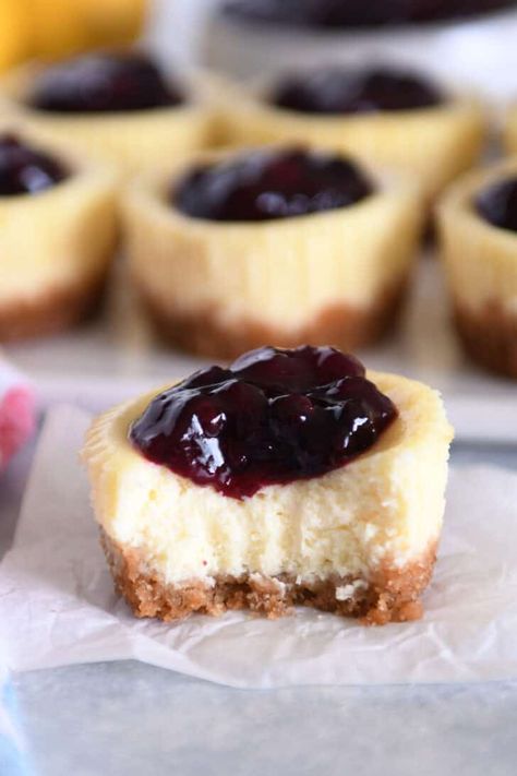 These mini cheesecakes are perfectly creamy and so delicious! They can be made in a standard muffin tin, mini muffin tin or a cheesecake pan. | melskitchencafe.com Mini Cheesecake Pan, Cheesecake Bites Recipe, Butter Sugar Cookies, Mini Cheesecake Recipes, Cheesecake Toppings, Cake Bites, Easy Cheesecake, Cheesecake Bites, Dessert Options