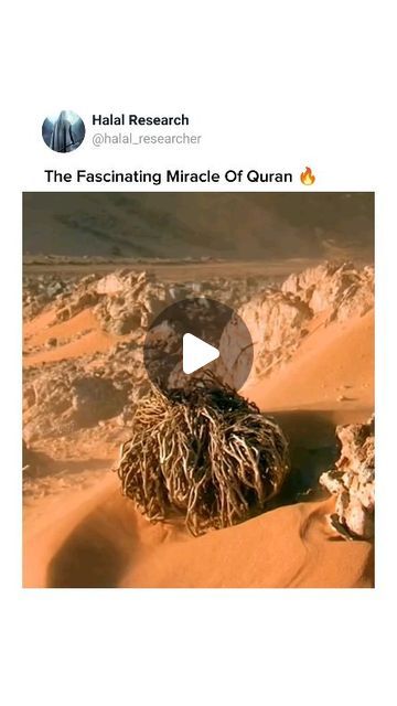 Halal research on Instagram: "Visit Profile For More Miracles Of Quran  Dm for Promotions @halal_researcher . . . .  If anyone Wants To Support Our Work  patreon.com/halalresearcher (type in browser)  Support us here 👆Thank You" Miracles Of Quran, Quran, Promotion, Thank You, On Instagram, Quick Saves, Instagram