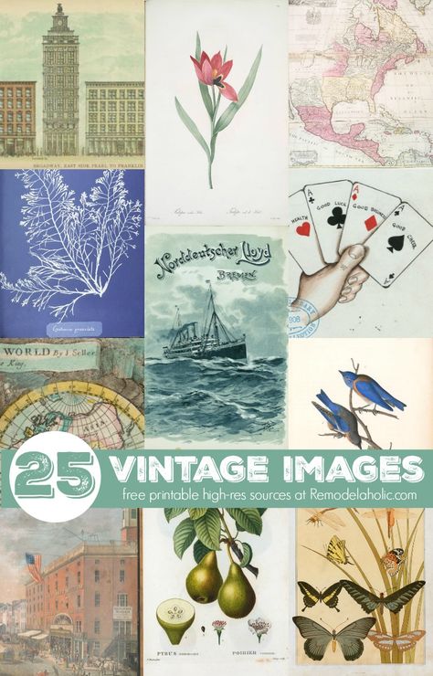 These free printable vintage images are beautiful and make for an easy wall art solution -- just print and frame! Plus tips for searching the vast New York Public Library image collections for more public domain images that are free and safe to use. Diy Gifts For Friends Birthday, Teen Diy, Mushroom Crafts, Free Wall Art, Pretty Printables, Free Vintage Printables, Vintage Papers, Free Printable Wall Art, Simple Wall Art