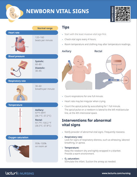 Review the normal vital signs of newborns, tips for measuring, and what to do when encountering abnormal values👶🏻❤️ Pediatric Vital Signs, Normal Vital Signs, Normal Values, Nclex Study, Reference Chart, Vital Signs, Nclex, Cheat Sheet, Cheat Sheets