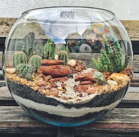 Mini Cactus Garden, Terrarium Scene, Kaktus Dan Sukulen, Cactus Terrarium, Diy Succulent Terrarium, Terrarium Bowls, Beautiful Terrariums, Mini Terrarium, Succulent Garden Diy