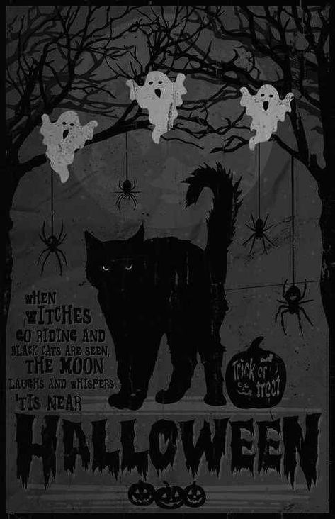 Halloween Black Cat Wallpaper, Black Cat Wallpaper, Black Cat Images, Vintage Halloween Art, Black Cat Aesthetic, Cat Collage, Halloween Wallpaper Backgrounds, Halloween Wallpaper Cute, Moth Art