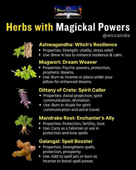 Glamour Magick Herbs, Protection Herbs Magick, Herbs Candles, Holistic Herbs, Magical Herbs Witchcraft, Witchcraft Practice, Knot Magic, Magick Herbs, Herbs For Protection