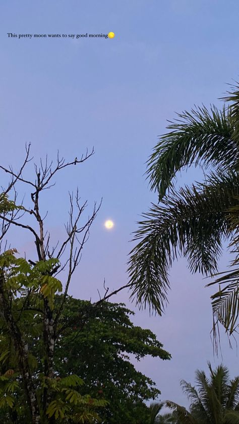 #sky #aesthetic #skies #moonshine #moonlightphotography Morning Moon Sky, Morning Moon Aesthetic, Morning Sky Aesthetic, Aesthetic Sayings, Morning Moon, Pretty Moon, Say Good Morning, Moonlight Photography, Moon Aesthetic