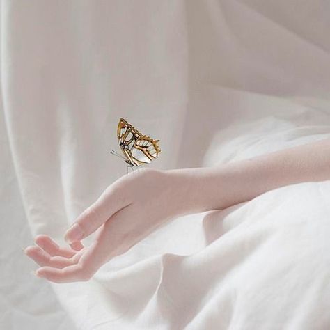 Papillon Butterfly, Butterfly Kisses, Tumblr Wallpaper, Jolie Photo, White Aesthetic, A Butterfly, Art Reference, Fairy Tales, Pure Products