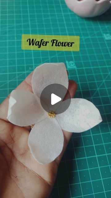 Maya Pandey 🧿 on Instagram: "⭐ Edible Wafer Flower ⭐ Made with wafer paper.  . . . . . . The most simple way of making flowers for cake decorating. Do comment and tell me how you like it ? . . . #waferpaper #reels #explore #cake #cakeforinstagram #réel #trendingreel #fondanttopper #halloweenparty #cupcakesdecorados #cupcakes #fondanttopper #sweet #wafferpaper #instagram #food52 #homebaked #cakesofinsta #bluecake #themecake #cakelife #caketrends #bakingtherapy #creamcakes #cakedecorations #buttercreamcakes #wafferpaper #instagram" Wafer Flowers Tutorial, How To Make Edible Flowers For Cakes, Waffle Paper Flowers, Cake With Wafer Paper Flowers, Wafer Flower Cake, Wafer Paper Cake Designs, How To Make Wafer Paper Flowers, Wafer Paper Decorations, Wafer Paper Flowers Cake