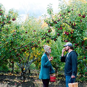 Delicious Orchards Backyard Beer Garden, Paonia Colorado, Camping Zone, Road Trip To Colorado, Modern Farmer, Emergency Radio, Moving To Colorado, Mountain Scenery, Farm Tour