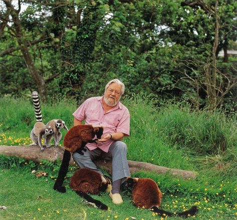 In Focus: Gerald Durrell, the 'pioneer with a marvellous sense of humour' - Country Life Gerald Durrell, Aye Aye, In Focus, Wildlife Conservation, Corfu, Zoology, Travel Writer, Family Dogs, Endangered Species