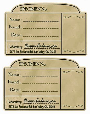 The Boho Bird: Printable Vintage Apothecary Labels Specimen Jars Halloween, Specimen Labels, Vintage Apothecary Labels, Vintage Labels Printables Free, Halloween Apothecary, Apothecary Labels, Vintage Apothecary, Nature Hike, Etiquette Vintage