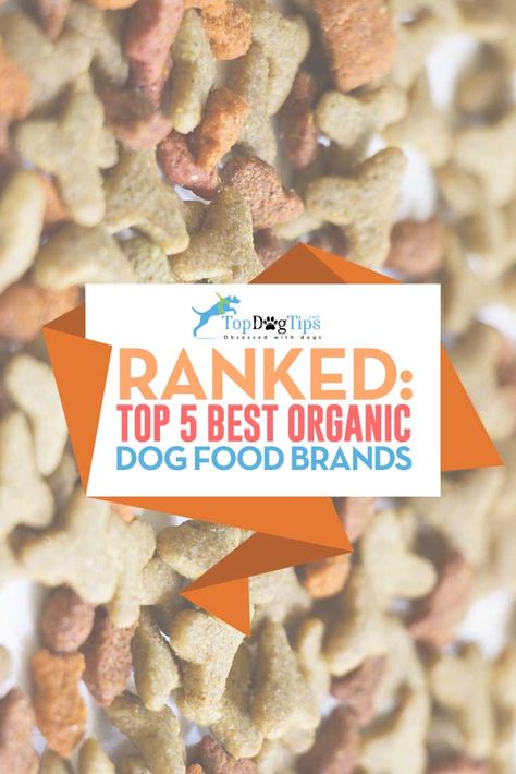 Top 11 Best Organic Dog Food Brands of 2018 (USDA Certified) What To Feed Dogs, Dog Itching Remedies, Dog Dental Cleaning, Organic Dog Food, Senior Dog Food Recipes, Organic Protein Powder, Organic Molecules, Vegan Entree, Canned Dog Food