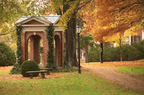 The Davidson well--what a lovely sight to see on the walk towards main street! Davidson College, College Vision Board, Son Of David, Glen Cove, Liberal Arts College, Miami University, Village Inn, Twenty Twenty, Lake Norman