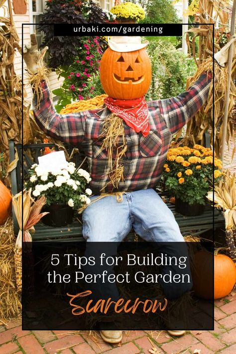 Creating the perfect garden scarecrow can be a fun and effective way to protect your plants from pesky birds and animals. Not only does it serve as a practical deterrent, but it also allows you to express your creativity and add a unique, decorative element to your outdoor space. Whether you’re an experienced gardener or a novice, a well-crafted scarecrow can add a touch of personality to your garden while keeping it safe from unwelcome visitors. Here are five tips to help you build the ideal... Diy Scarecrows For Garden, Building A Scarecrow, Fall Planting Guide, Garden Scarecrow, Fall Lawn, Scarecrows For Garden, Diy Scarecrow, Halloween Scarecrow, Composting At Home