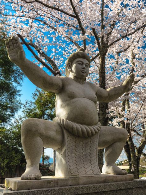 Nara was the first permanent capital in Japan, and it is also thought to be the birthplace of sumo wrestling. Sumo Art, Sumo Wrestler Character Design, Japan Sumo Wrestling, Sumo Wrestler, Sumo Wrestling Japan, Japan Pro Wrestling, Nagano, Nara, School Projects