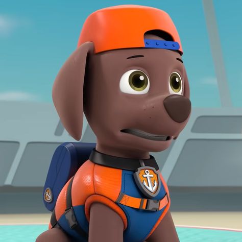 Paw Patrol Dogs, Paw Patrol Zuma, Paw Patrol Rocky, Zuma Paw Patrol, Childhood Crushes, Paw Patrol Cartoon, Psi Patrol, Paw Patrol Pups, Floppy Ears